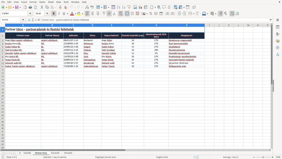 Képernyőkép 2: Partner törzs lap - Excel sablon számlakövető excel sablon