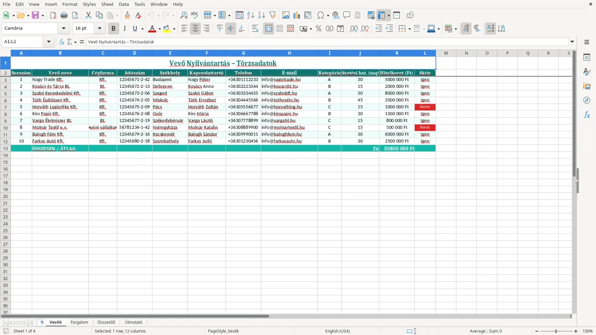 Képernyőkép 1: Vevők lap - Excel sablon vevő nyilvántartás excel sablon