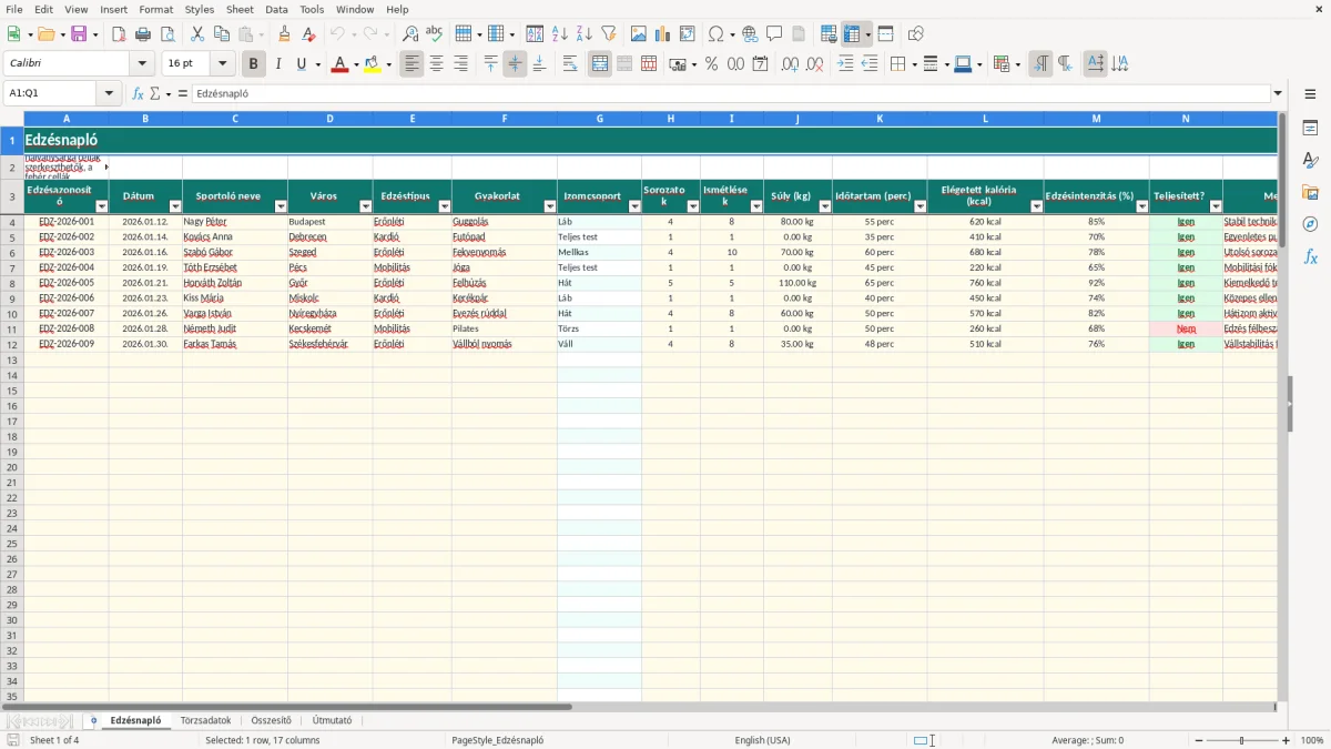 Képernyőkép 1: Edzésnapló lap - Excel sablon edzésnapló excel sablon