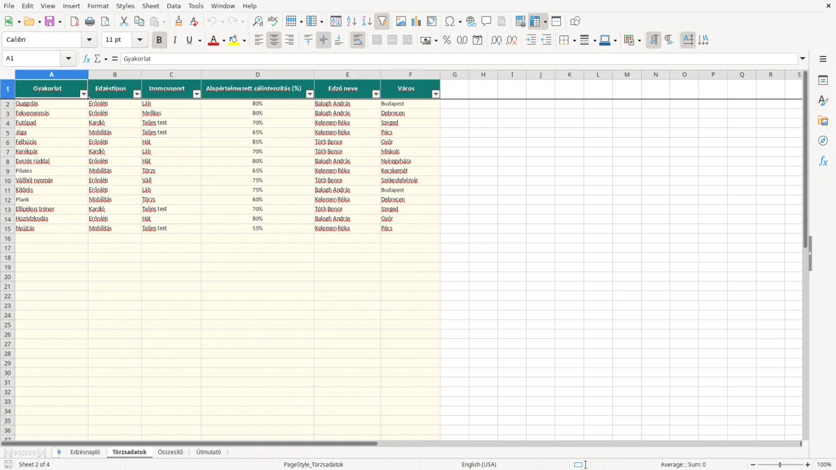 Képernyőkép 2: Törzsadatok lap - Excel sablon edzésnapló excel sablon